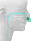 Bequemes CPAP-Gerät für Ruhige Nächte 4