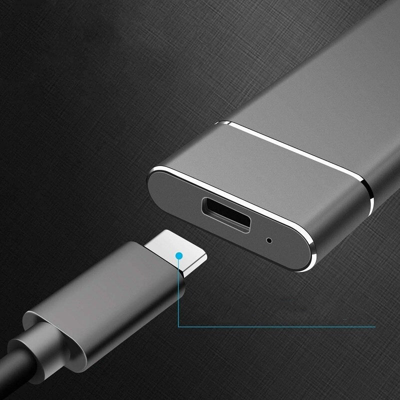 Schnelle Tragbare SSD 2